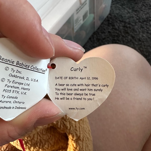 ‘Curly’ Beanie Baby Bear - Picture 3 of 3